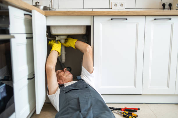 Best Plumbing Services Near Me  in Holly Lake Ranch, TX